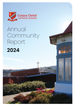 annual report cover